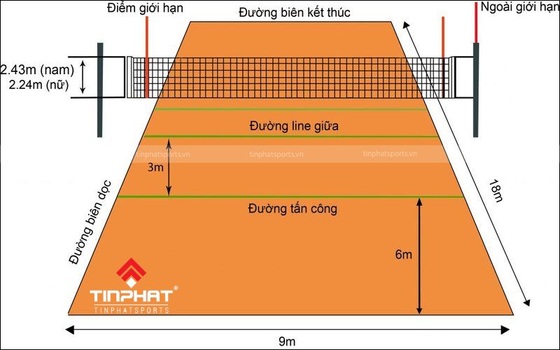 Chiều cao tiêu chuẩn của lưới bóng chuyền nam và nữ