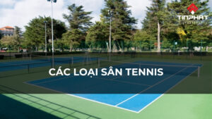 Các loại sân Tennis tiêu chuẩn, ưu và nhược điểm từng loại