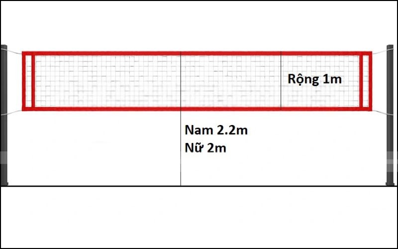 Lưới có chiều dài 7m, chiều rộng 1m