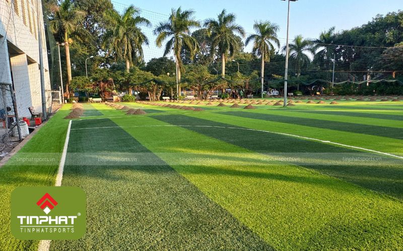 Tín Phát Sport cung cấp dịch vụ thi công sân cỏ nhân tạo chất lượng
