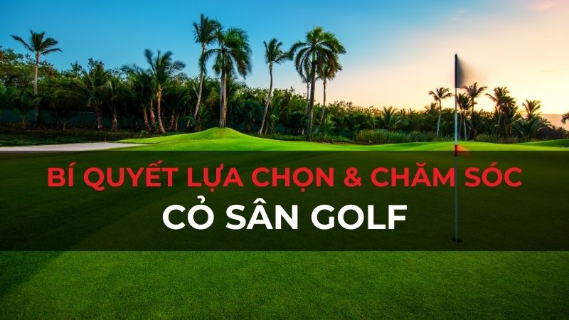 Cỏ sân golf - bí quyết lựa chọn, chăm sóc & giải pháp bền vững