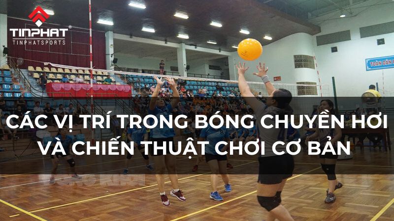 Các vị trí trong bóng chuyền hơi và chiến thuật chơi cơ bản