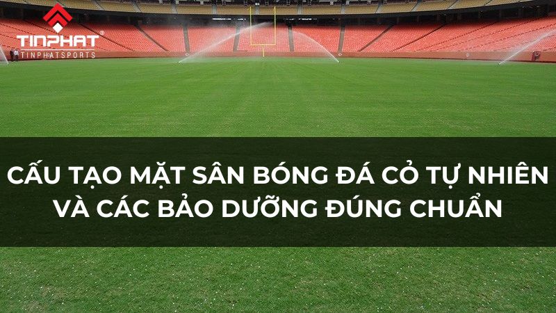 Cấu tạo mặt sân bóng đá cỏ tự nhiên và cách bảo dưỡng đúng chuẩn