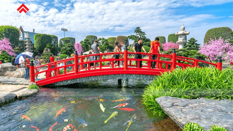 Toàn cảnh hồ cá Koi