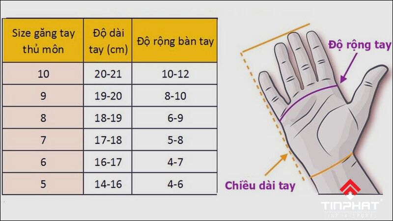 Bảng kích thước size găng tay thủ môn