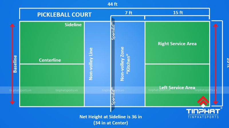 Đường biên ngang (Baseline) là hai đường thẳng song song với lưới, xác định chiều dài của sân