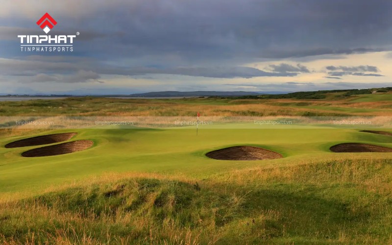 Sân Championship – Royal Dornoch Golf Club (Scotland)