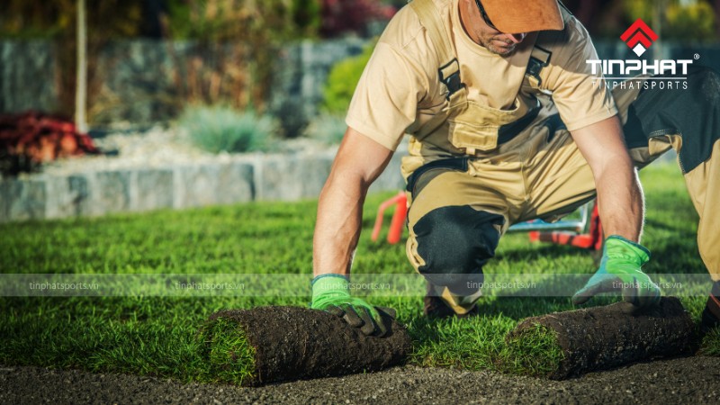 Chi phí bảo dưỡng sân cỏ nhân tạo là bao nhiêu