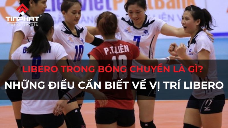 Libero trong bóng chuyền là gì