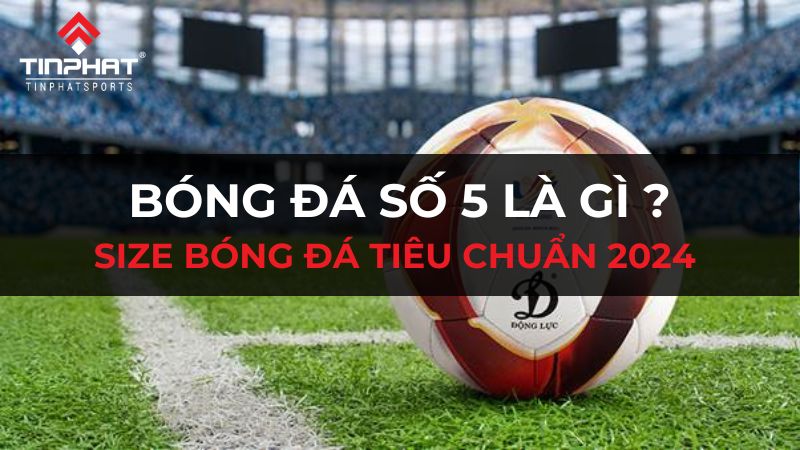 Bóng số 5 là gì?