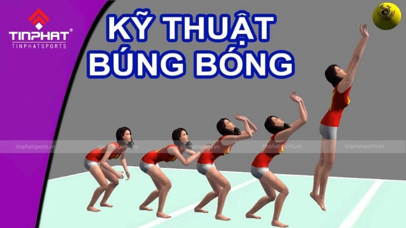 Mô tả tư thế búng bóng chuyền đúng kỹ thuật