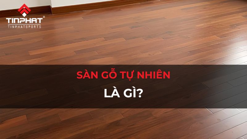 Sàn gỗ tự nhiên là gì? Có cấu tạo, ưu và nhược điểm ra sao?