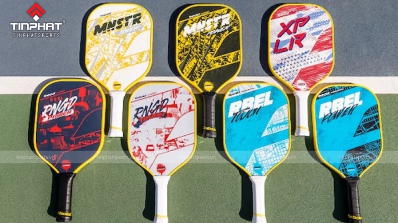 Giới thiệu về thương hiệu vợt Pickleball Babolat