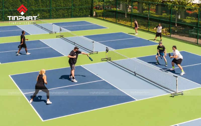 Cần lựa chọn vợt Pickleball phù hợp với trình độ