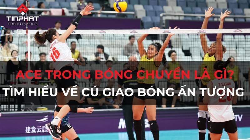 Ace trong bóng chuyền là gì?