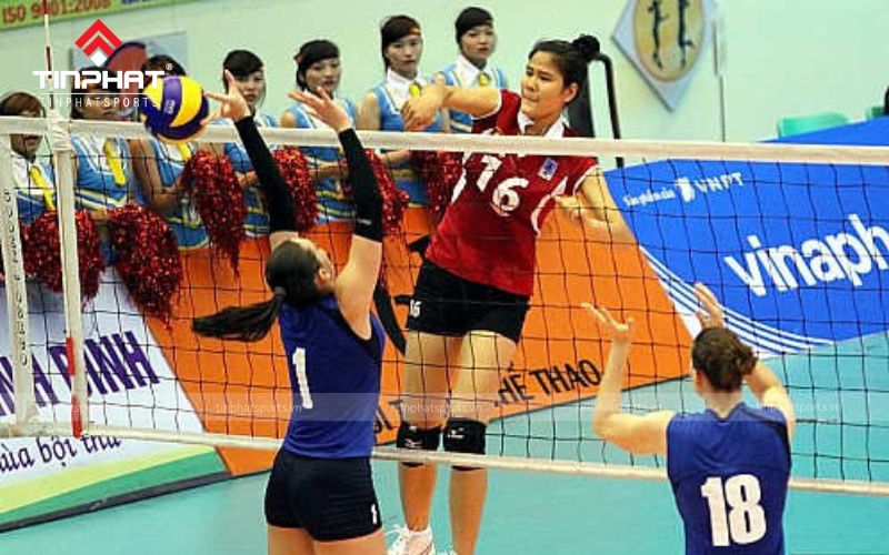 Vị trí chắn giữa (Middle Blocker)