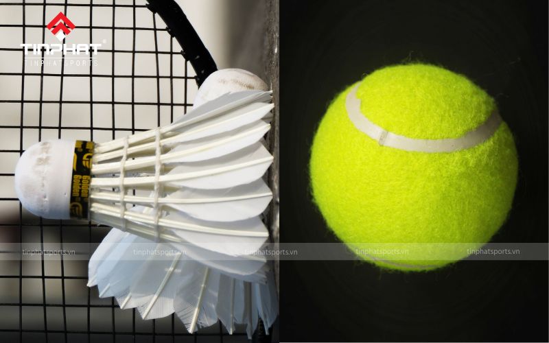 Chi phí cho cầu lông về lâu dài sẽ tốn nhiều hơn bóng tennis