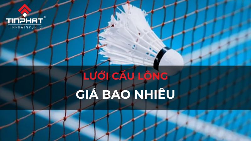 Lưới cầu lông giá bao nhiêu? Cập nhật chi tiết các loại lưới 2024