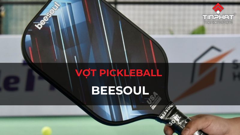 Khám phá vợt Pickleball Beesoul: Chất liệu, công nghệ, các dòng nổi bật