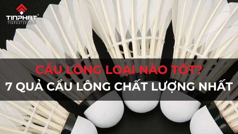 Cầu lông loại nào tốt? 7 quả cầu lông chất lượng nhất hiện nay