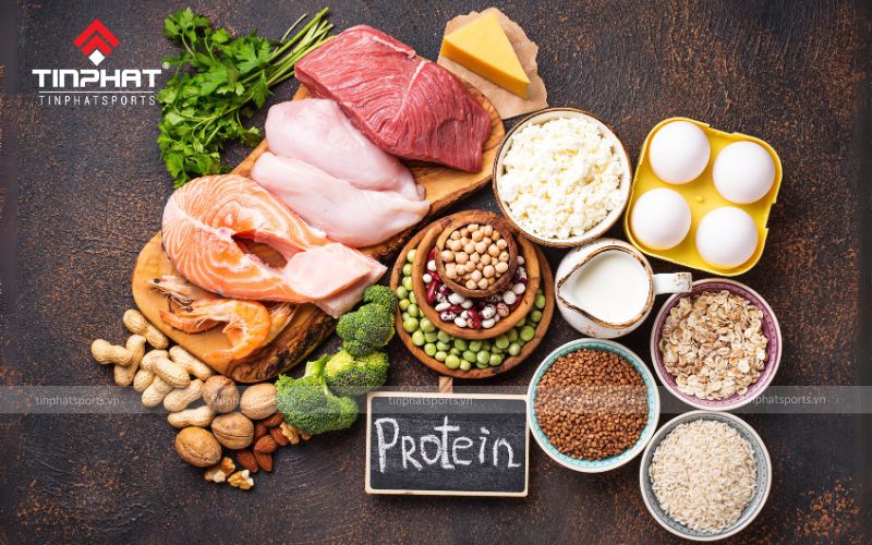 Tăng cường nạp protein cho cơ thể