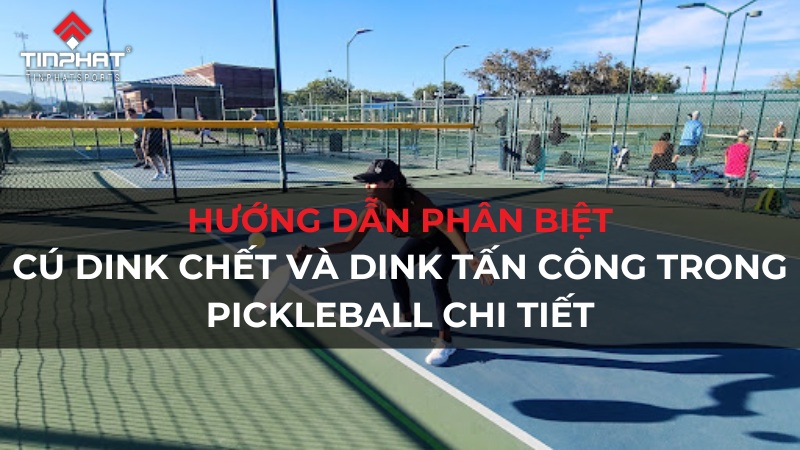 Hướng dẫn phân biệt cú Dink chết và Dink tấn công trong Pickleball chi tiết