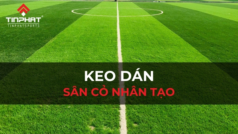 Keo dán sân cỏ nhân tạo