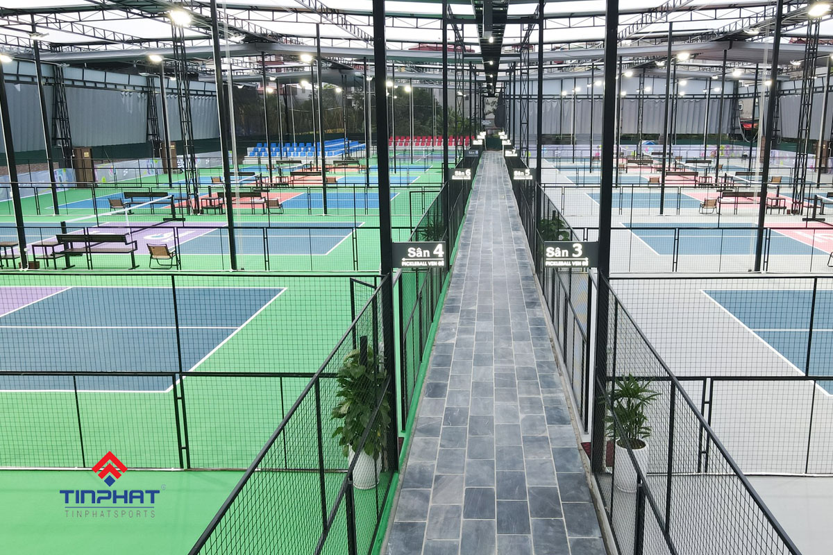 Màu sân pickleball đẹp