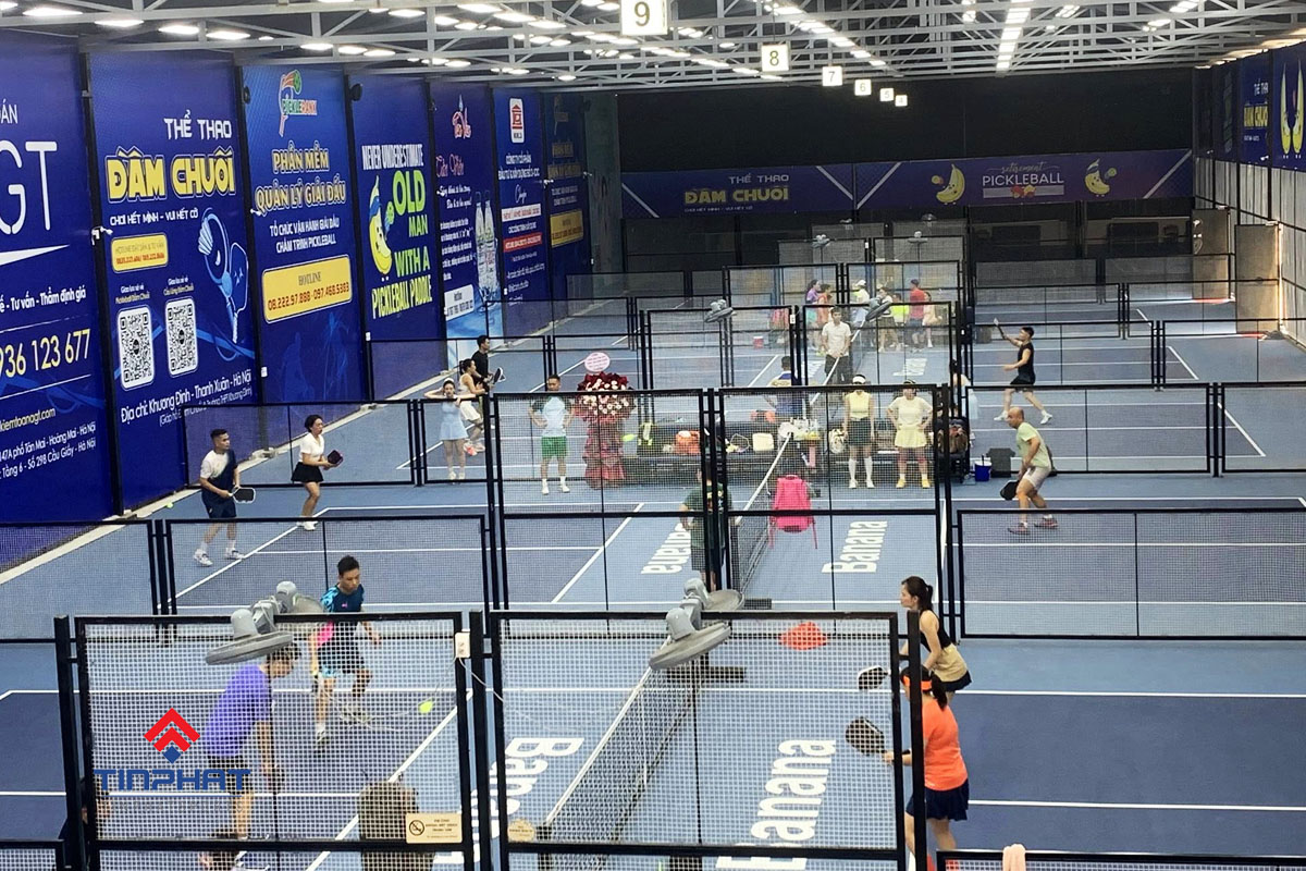 sơn hệ thống sân pickleball trong nhà