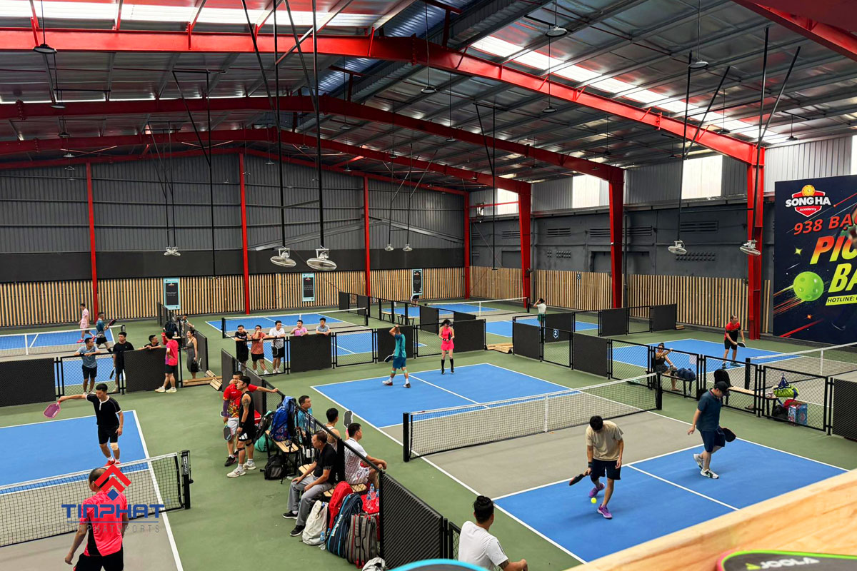 mau san pickleball 