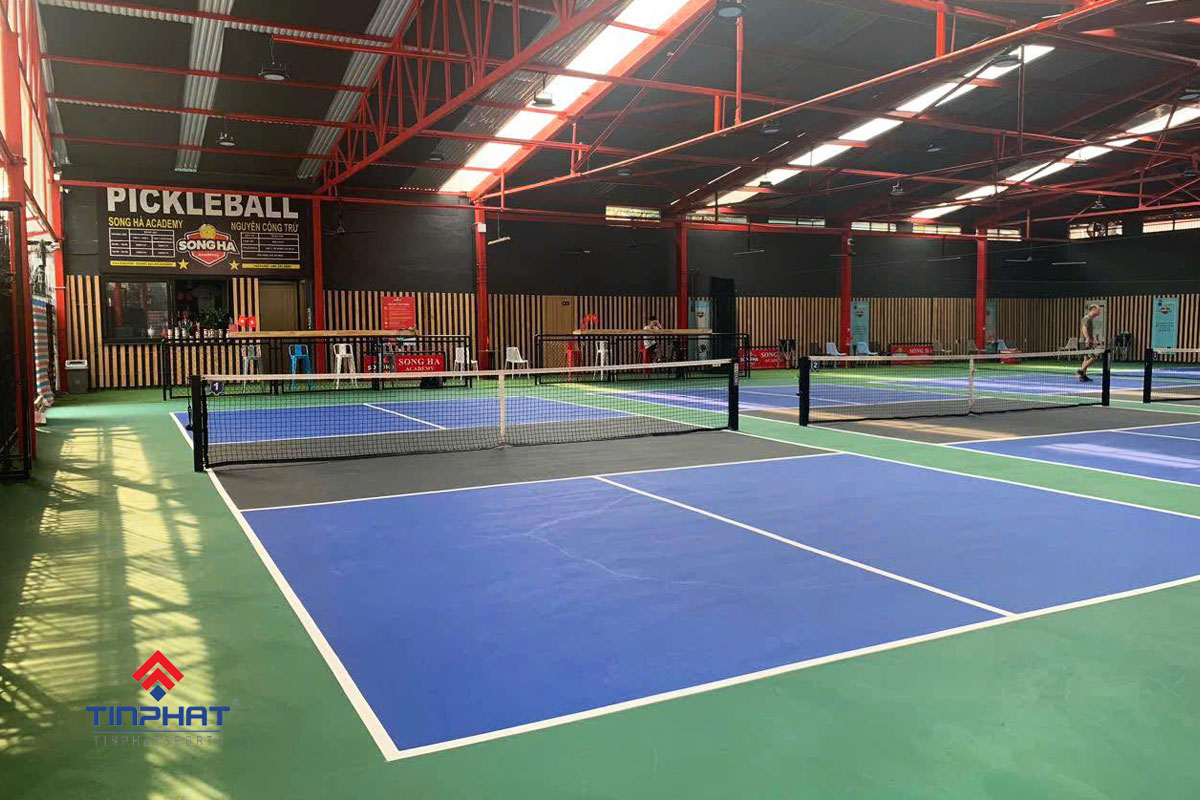 mau san pickleball dep