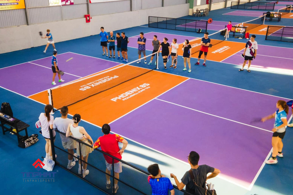 mau san pickleball tham vinyl
